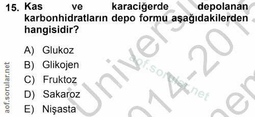 Soru 15