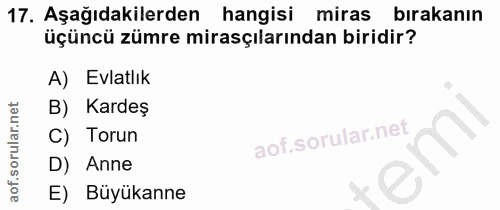 Soru 17