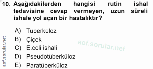 Soru 10