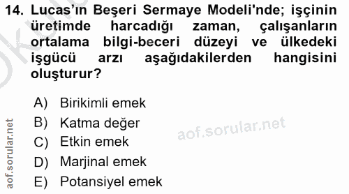 Soru 14