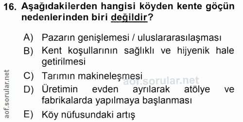 Soru 16