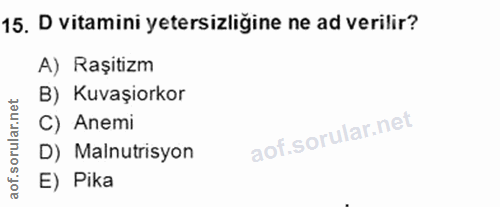 Soru 15