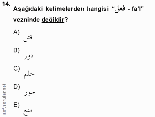 Soru 14