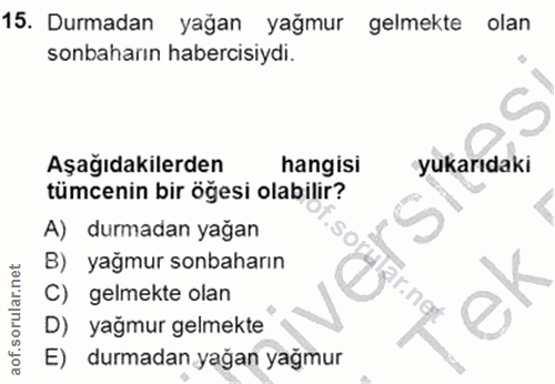 Soru 15