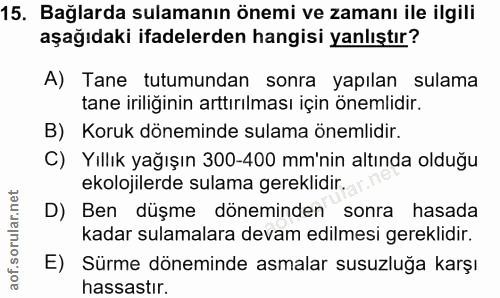 Soru 15