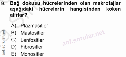 Soru 9
