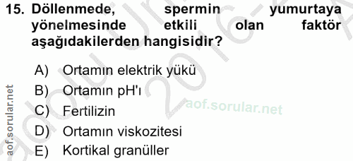 Soru 15