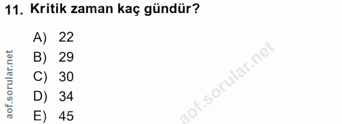 Soru 11