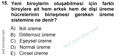 Soru 15