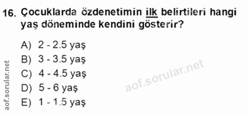 Soru 16