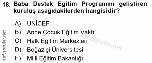 Soru 18