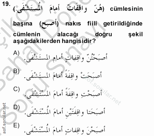 Soru 19