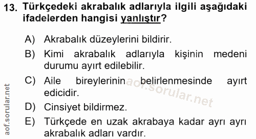 Soru 13