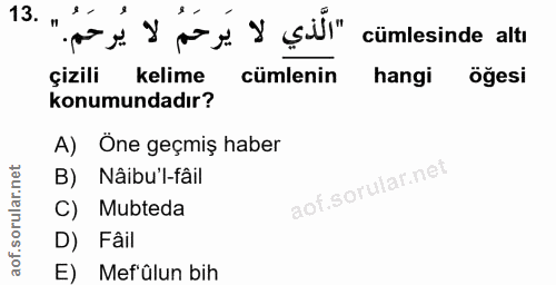Soru 13