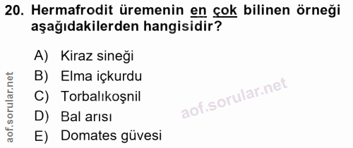 Soru 20