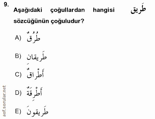 Soru 9