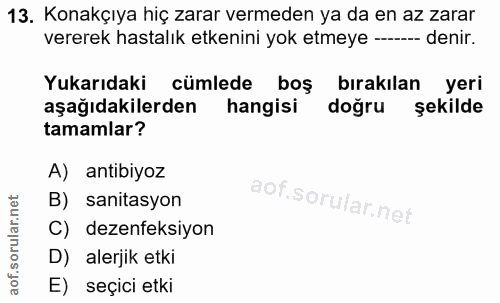Soru 13