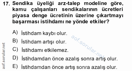 Soru 17