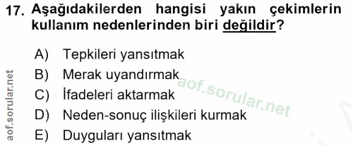 Soru 17