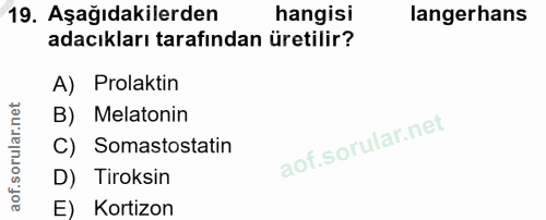 Soru 19