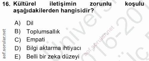Soru 16