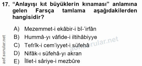 Soru 17