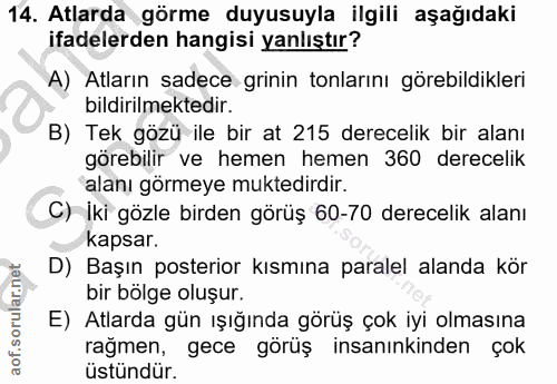 Soru 14