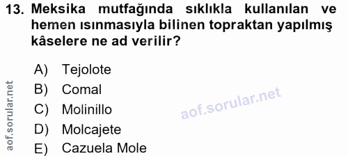 Soru 13
