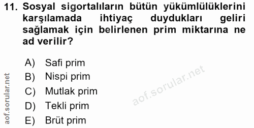 Soru 11