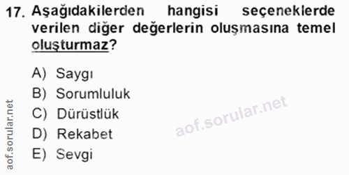 Soru 17