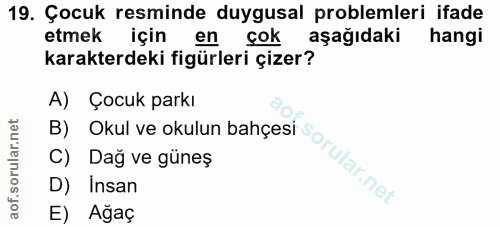 Soru 19