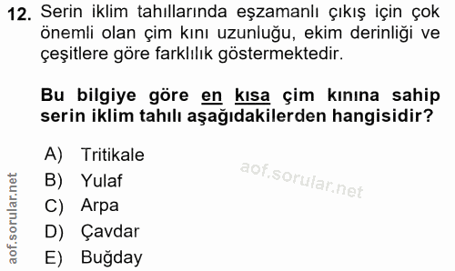 Soru 12