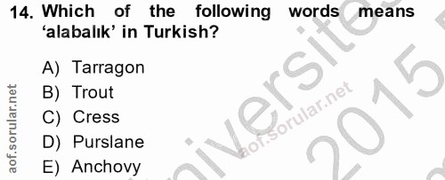 Soru 14