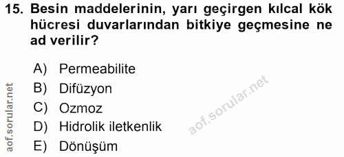 Soru 15