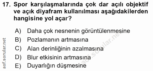 Soru 17