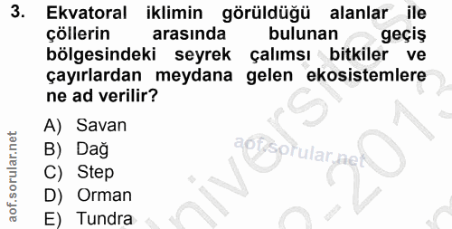 Soru 3