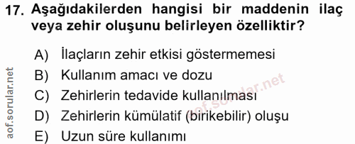 Soru 17