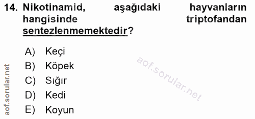 Soru 14
