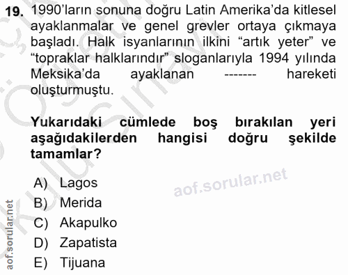 Soru 19