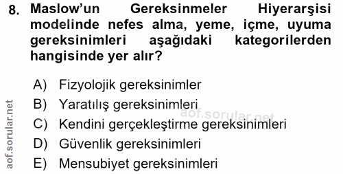 Soru 8