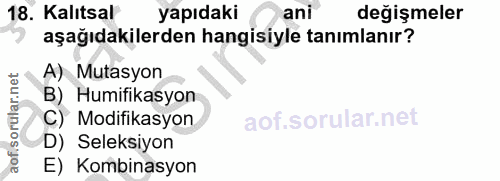 Soru 18