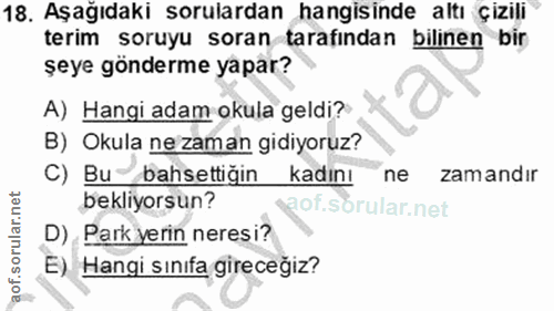 Soru 18