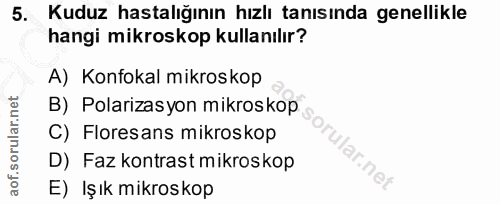 Soru 5