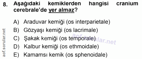 Soru 8