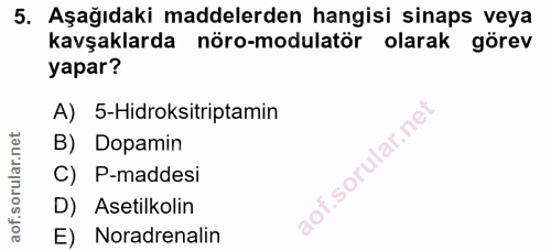 Soru 5