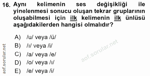 Soru 16