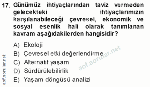 Soru 17
