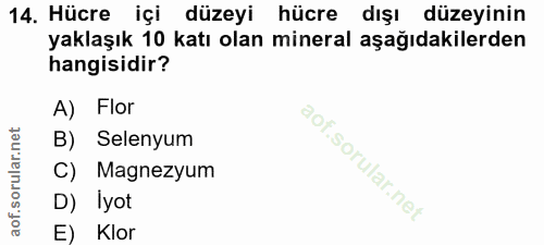 Soru 14