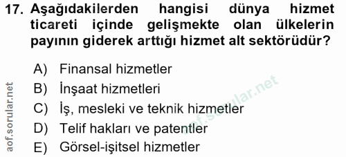 Soru 17