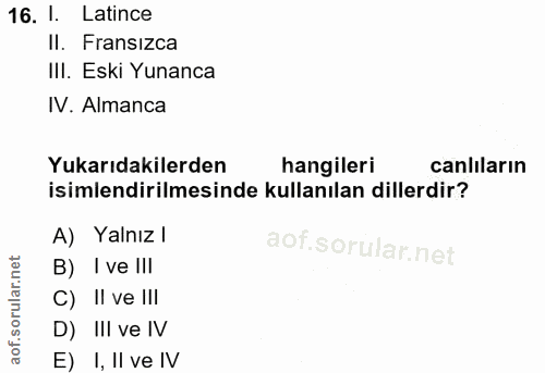 Soru 16